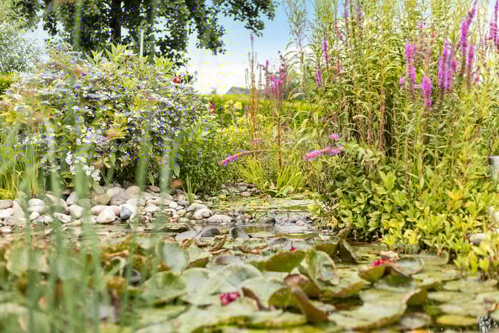 Foto 46 van Dijkhuizenweg 76