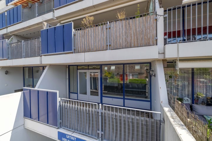 Foto 3 van Peter Zuidhove 15