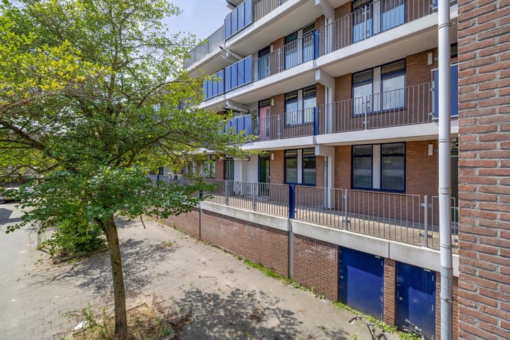 Foto 20 van Peter Zuidhove 15