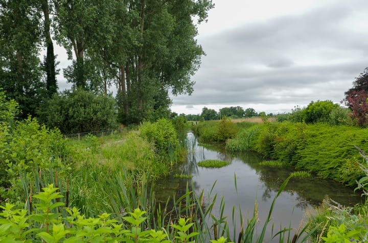 Foto 51 van Boskbei 13