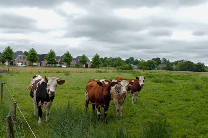 Foto 53 van Boskbei 13