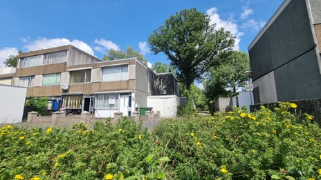 undefined main image