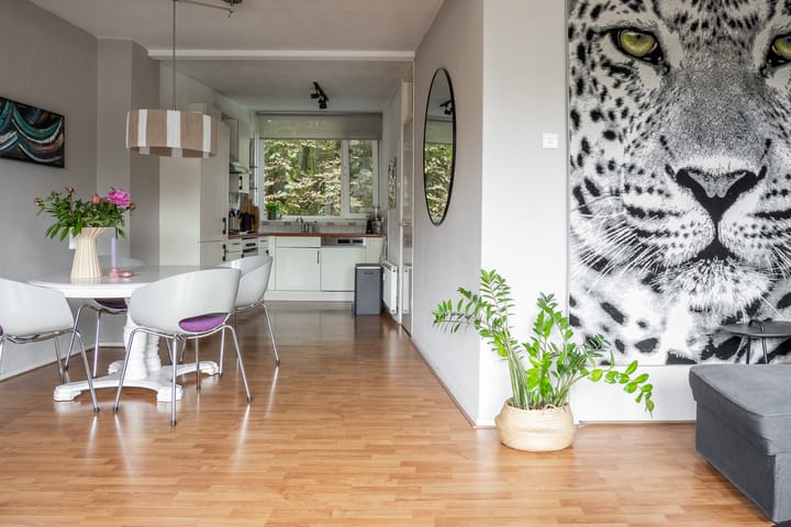 Foto 3 van Oliemolensingel 250