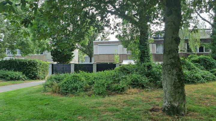 Foto 47 van Moggendries 39