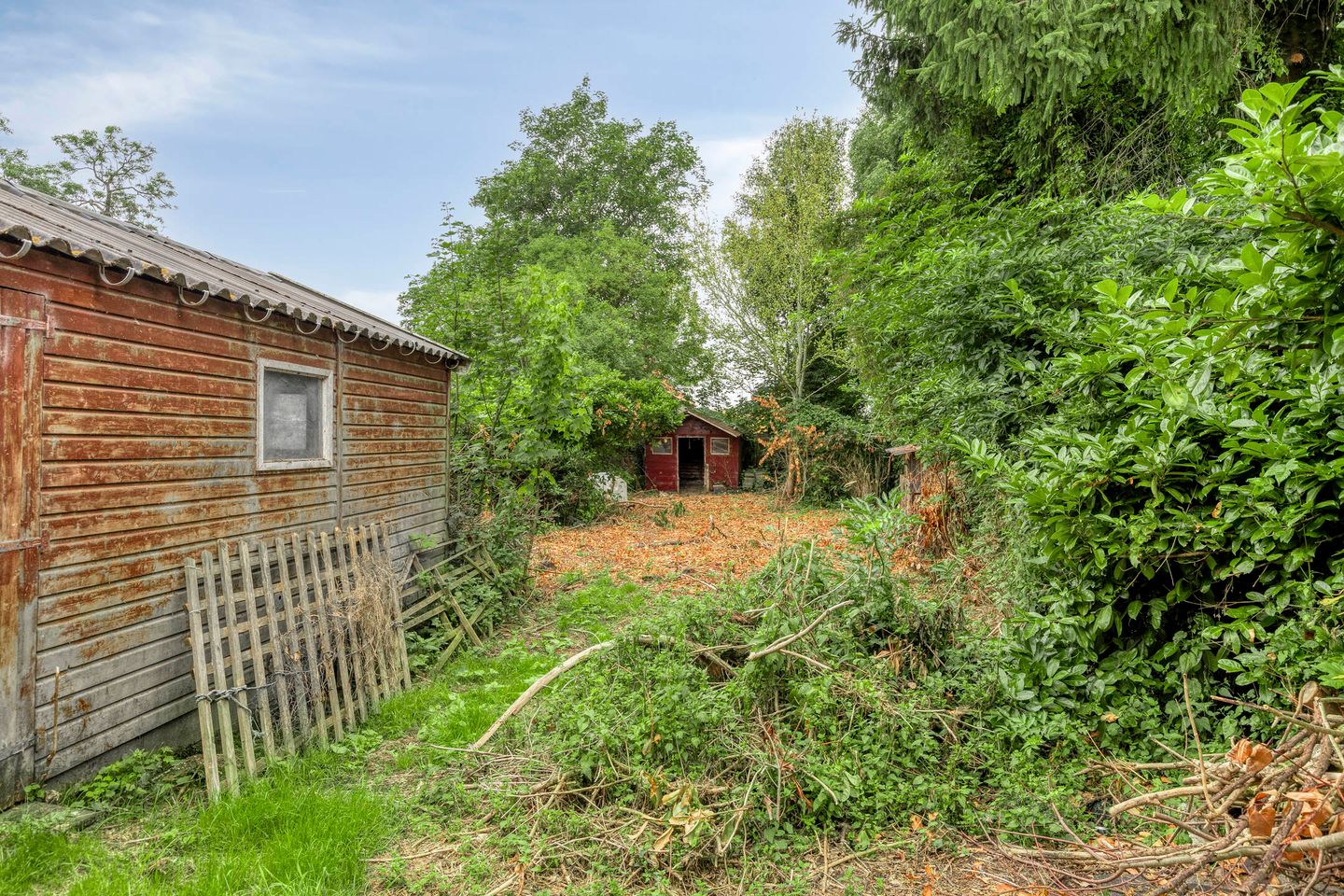 Foto 20 van Bareveldstraat 11