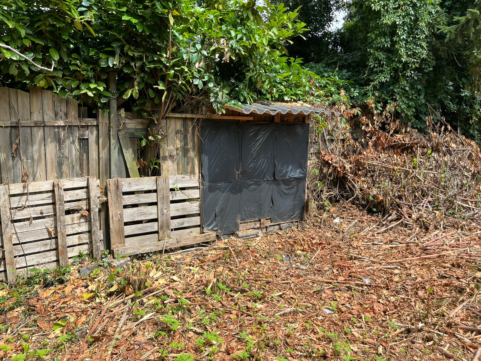 Foto 24 van Bareveldstraat 11