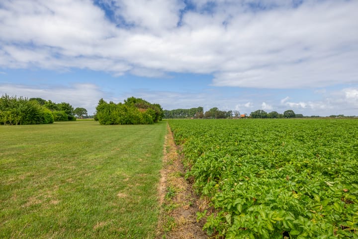 Foto 51 van Pancrasgorseweg 2