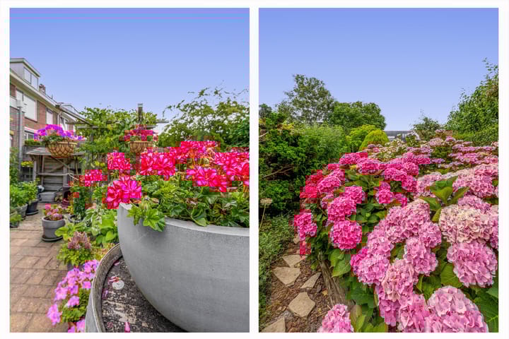 Foto 27 van Meerlaan 84