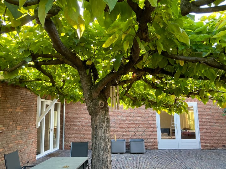 Foto 13 van Cerespark 5