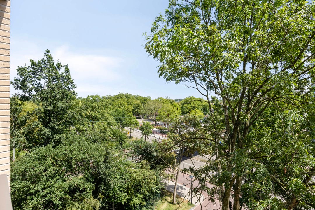 Photo 32 of Mangoweg 59