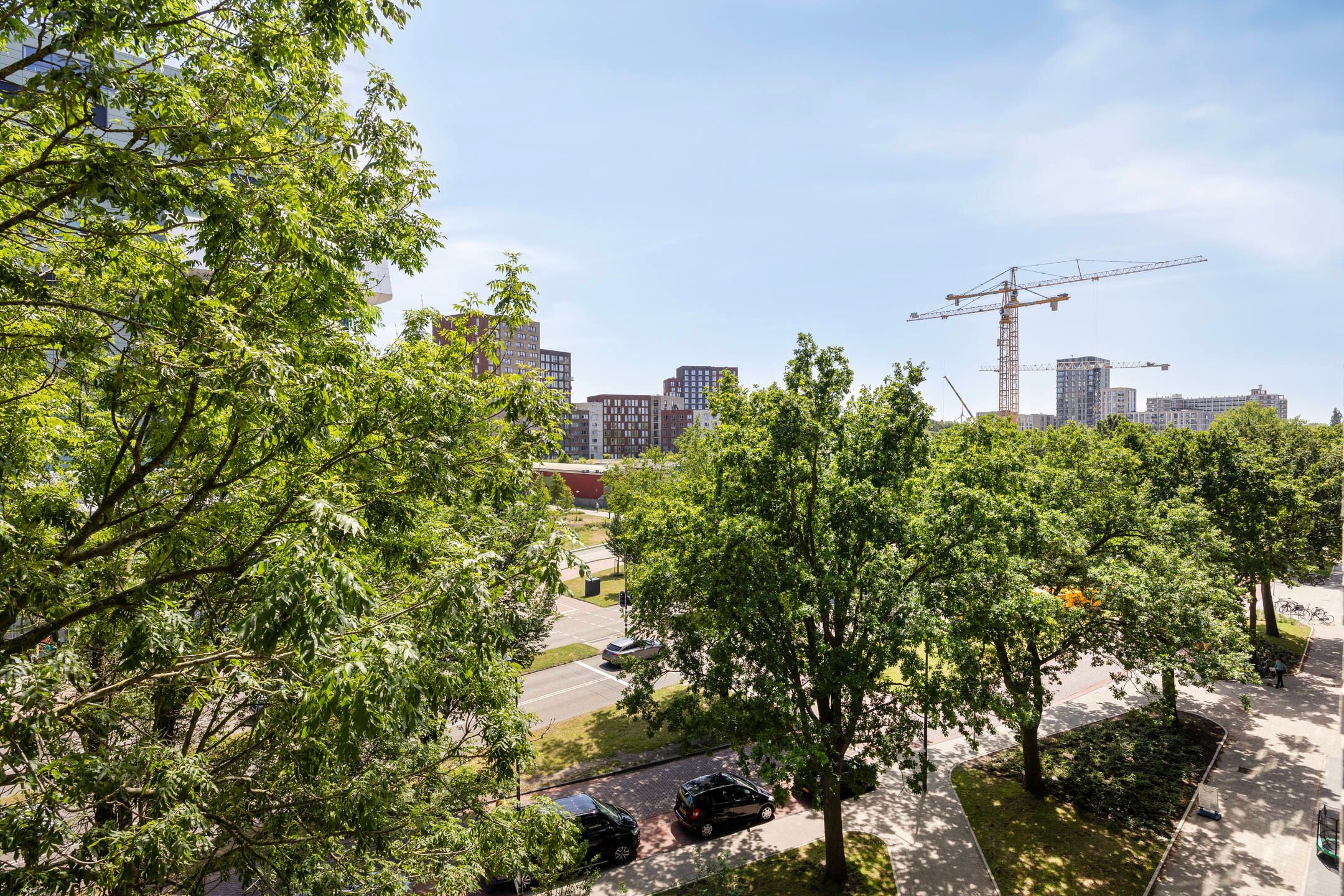 Photo 33 of Mangoweg 59