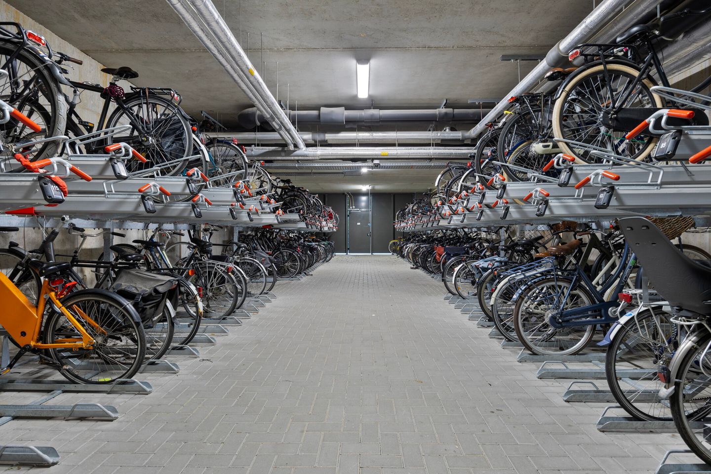 Photo 35 of Mangoweg 59