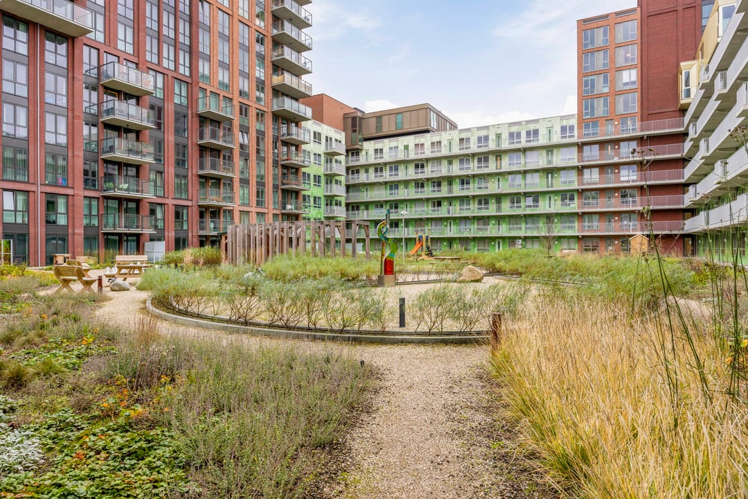 Photo 41 of Mangoweg 59