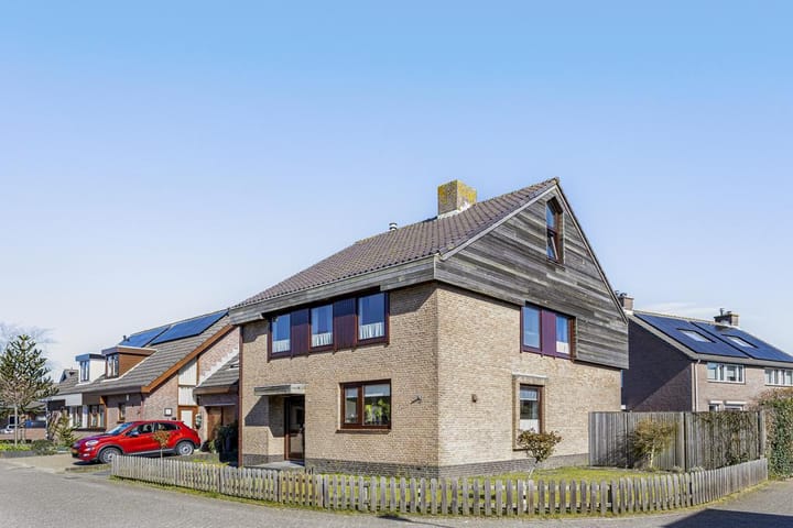 Foto 2 van Buizerd 9