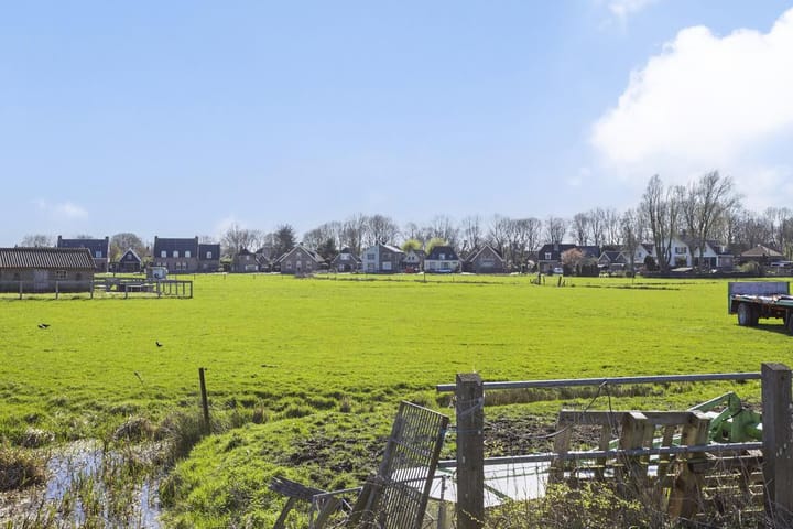 Foto 3 van Buizerd 9