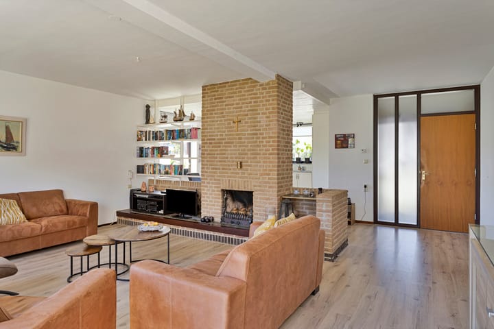 Foto 4 van Buizerd 9