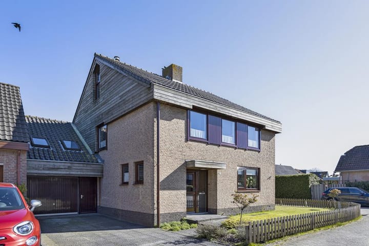 Foto 5 van Buizerd 9