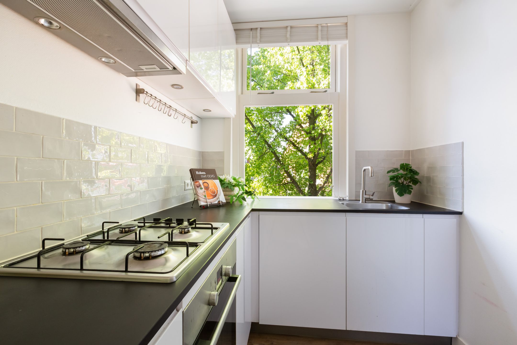 Foto 15 van Homeruslaan 70