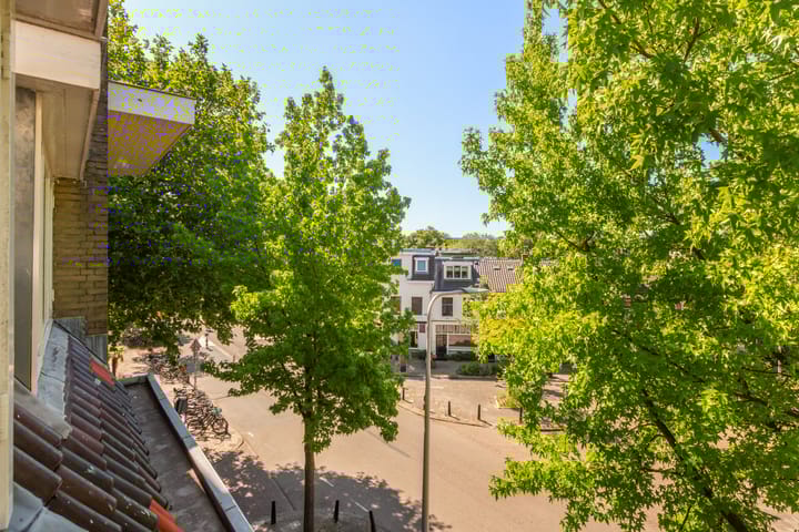 Photo 30 of Homeruslaan 70