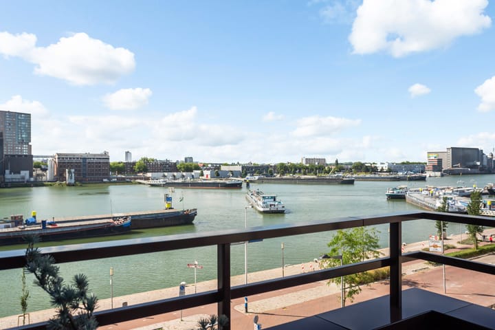 Foto 18 van Maashavenweg 202