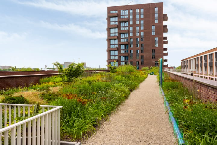 Foto 22 van Maashavenweg 202