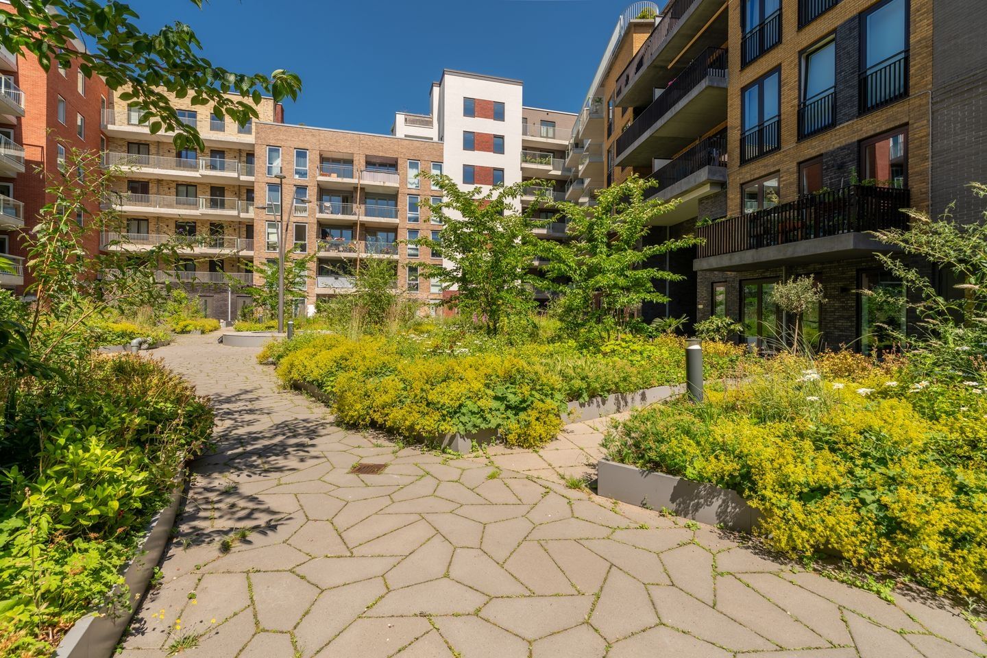 Foto 19 van Carel Willinkgracht 233