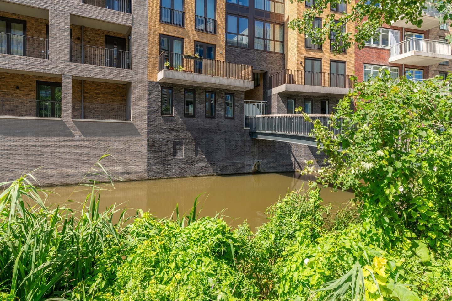 Foto 21 van Carel Willinkgracht 233