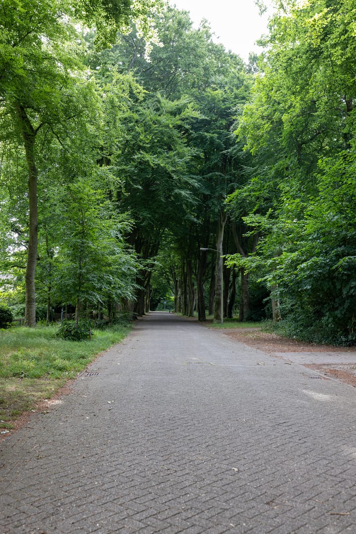 Foto 8 van Linnaeuslaan 1