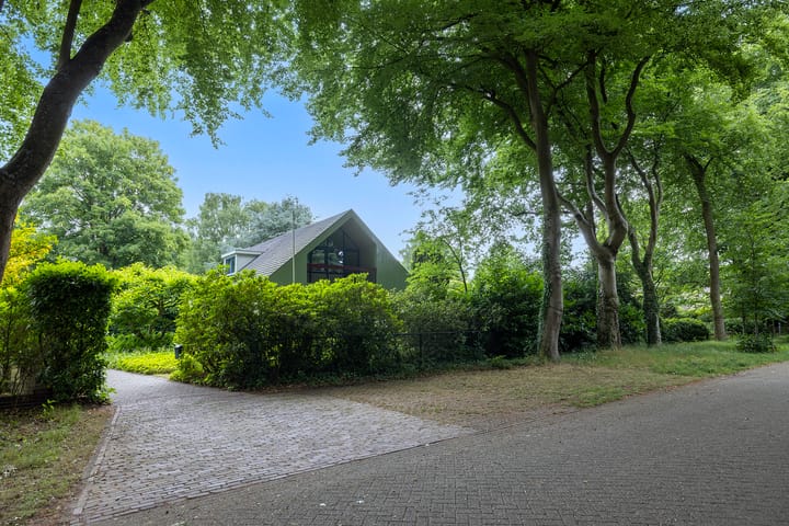 Foto 9 van Linnaeuslaan 1