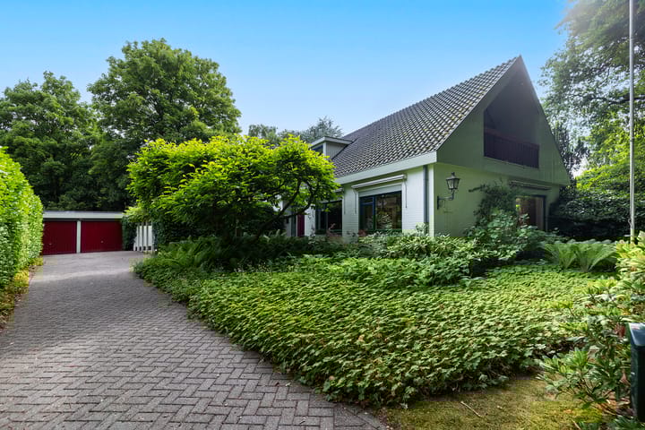 Foto 10 van Linnaeuslaan 1