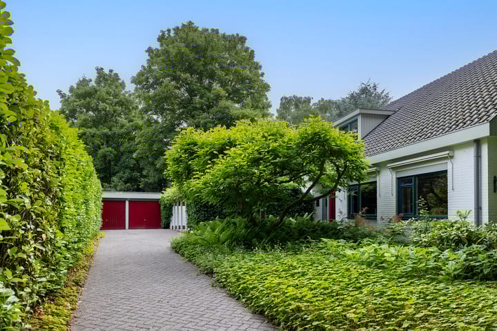 Foto 12 van Linnaeuslaan 1