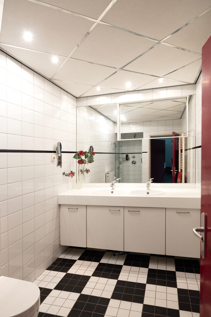 Foto 31 van Linnaeuslaan 1