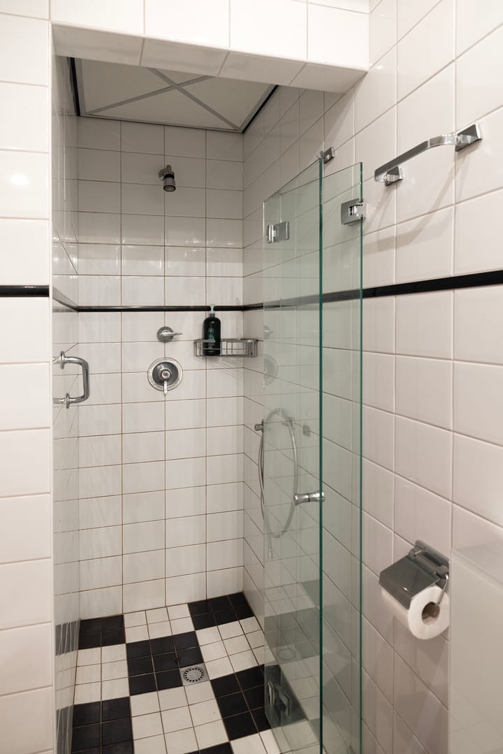 Foto 32 van Linnaeuslaan 1