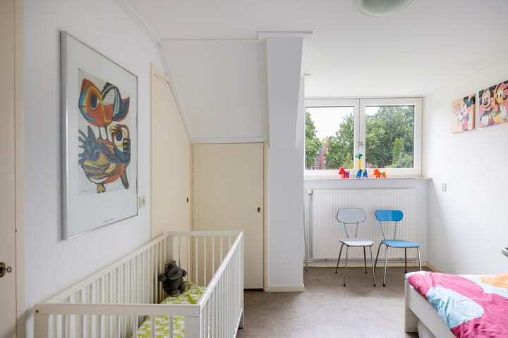 Foto 46 van Linnaeuslaan 1