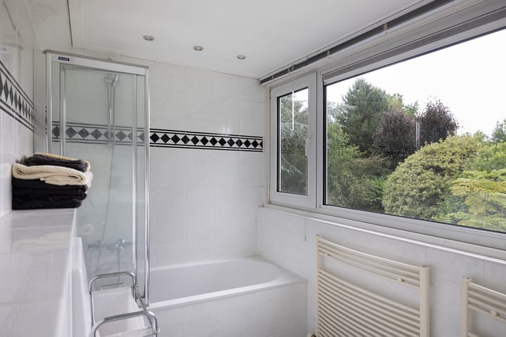 Foto 47 van Linnaeuslaan 1