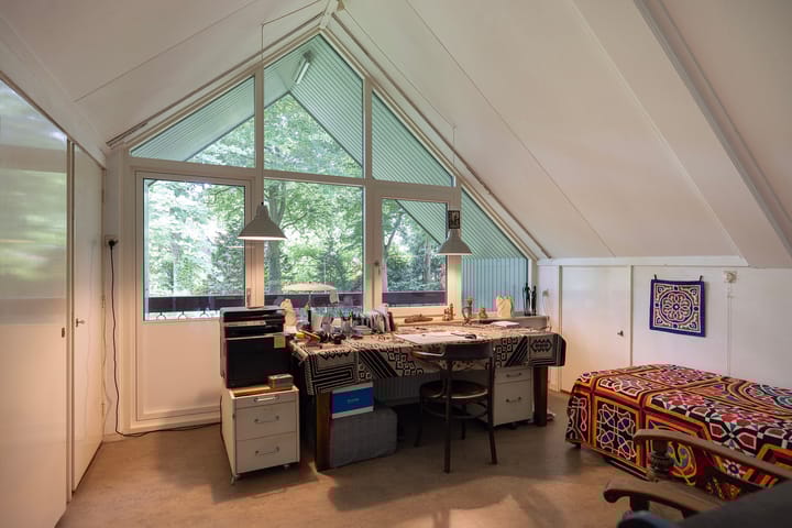 Foto 49 van Linnaeuslaan 1