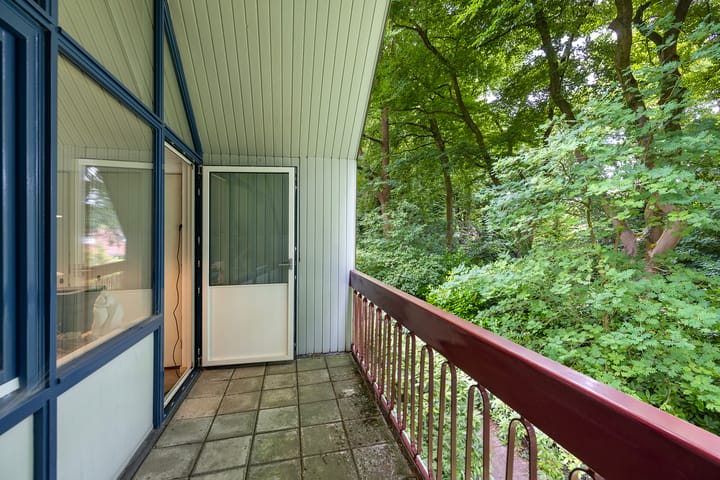 Foto 50 van Linnaeuslaan 1