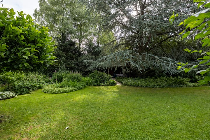 Foto 51 van Linnaeuslaan 1