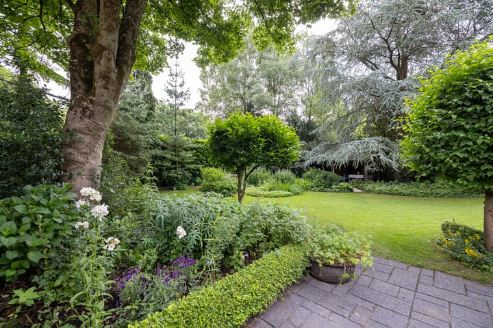 Foto 53 van Linnaeuslaan 1