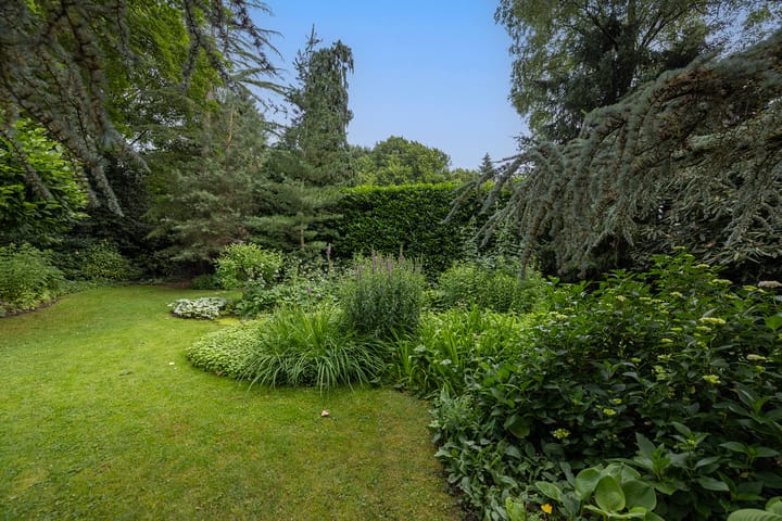 Foto 56 van Linnaeuslaan 1