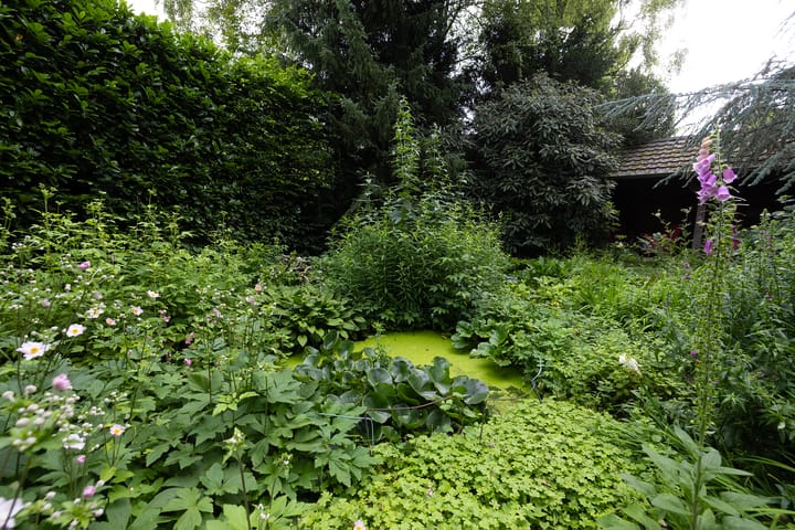 Foto 57 van Linnaeuslaan 1