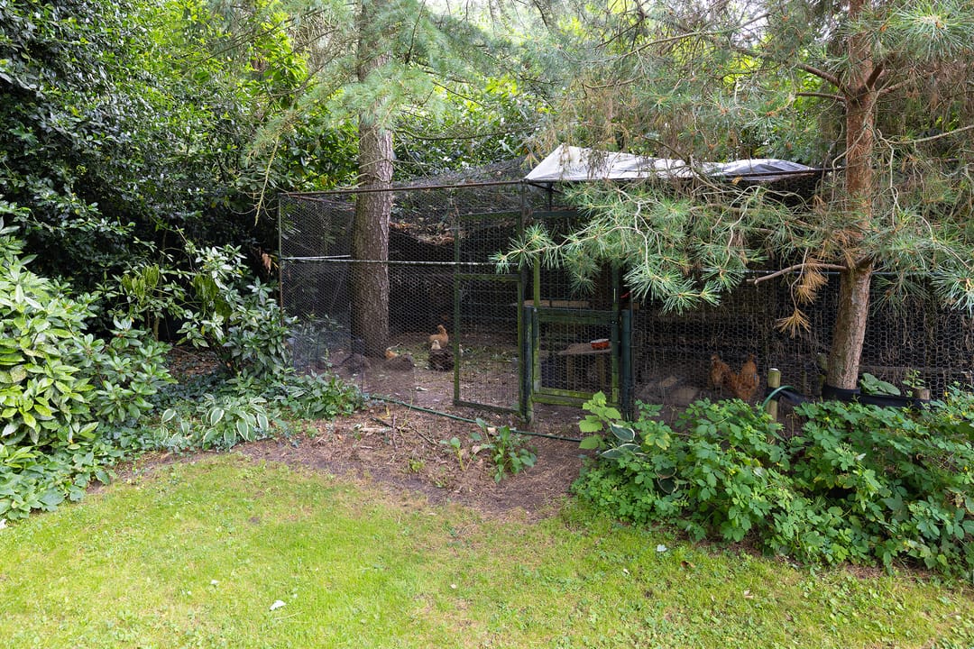 Foto 58 van Linnaeuslaan 1