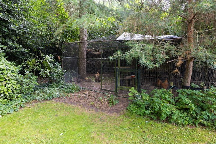 Foto 58 van Linnaeuslaan 1