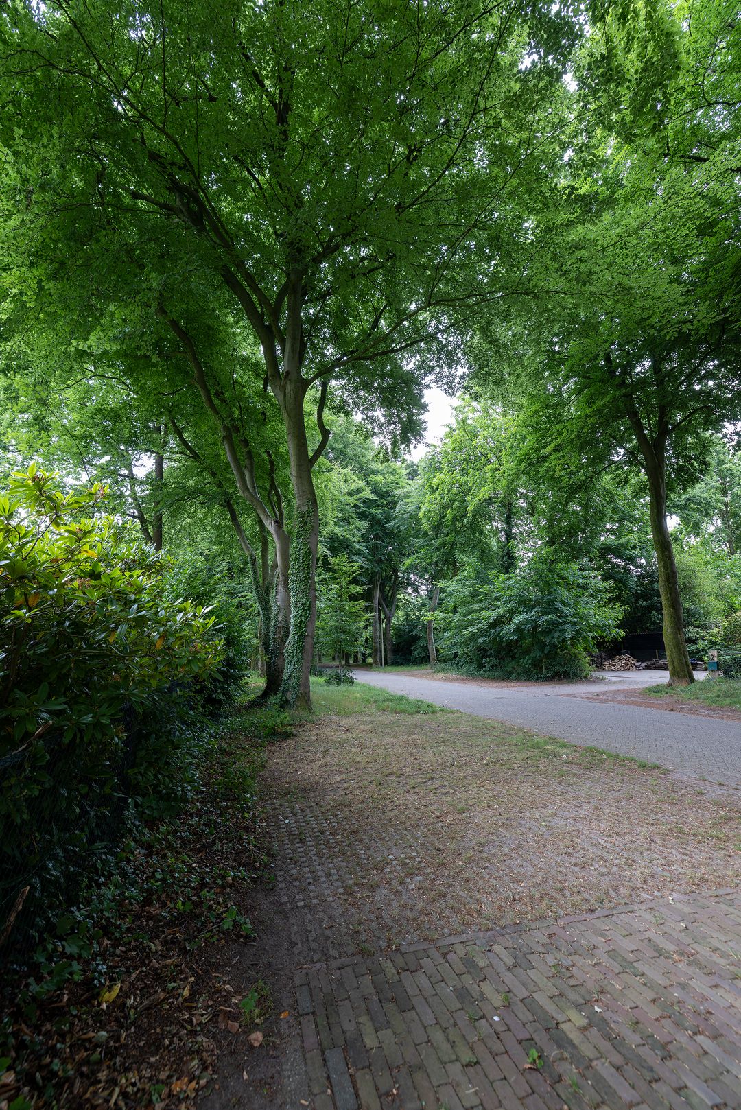 Foto 62 van Linnaeuslaan 1