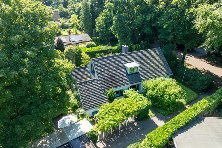 Foto 63 van Linnaeuslaan 1