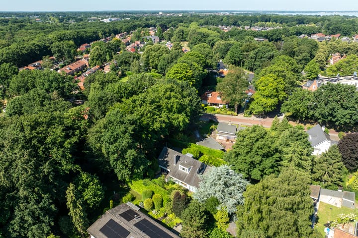 Foto 65 van Linnaeuslaan 1