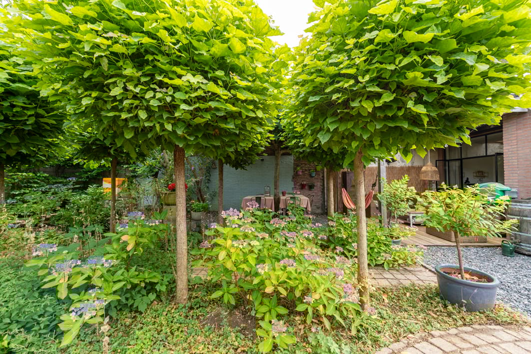 Foto 50 van Berkdijksestraat 89