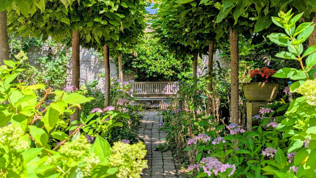 Foto 53 van Berkdijksestraat 89