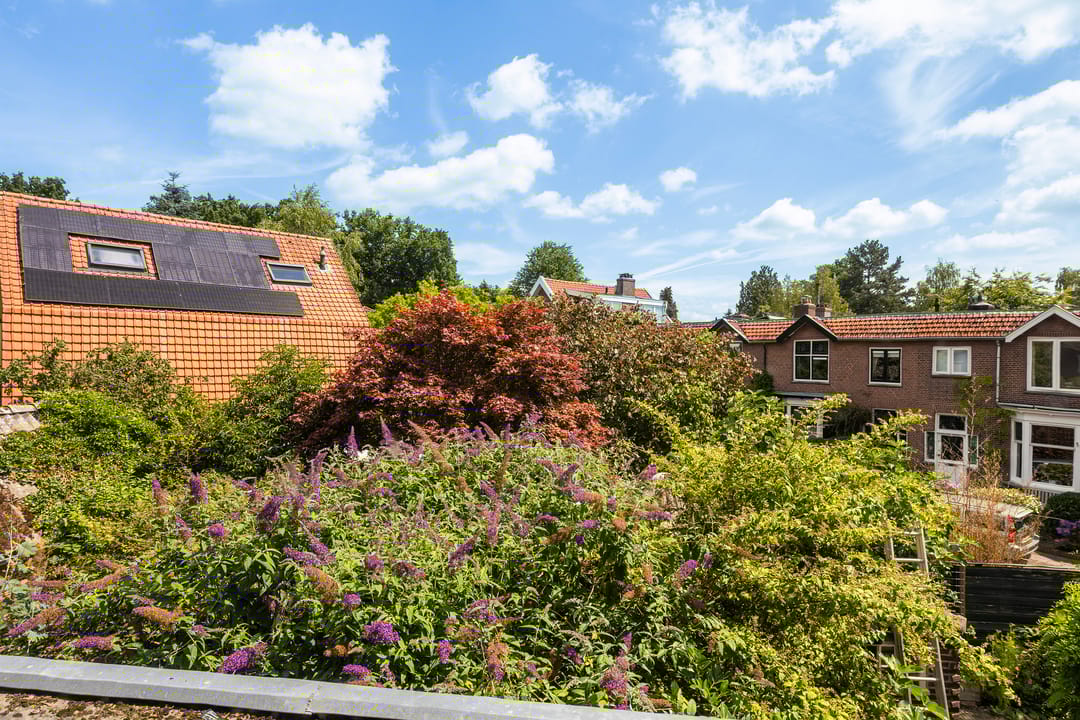 Foto 28 van van Wassenaerlaan 37