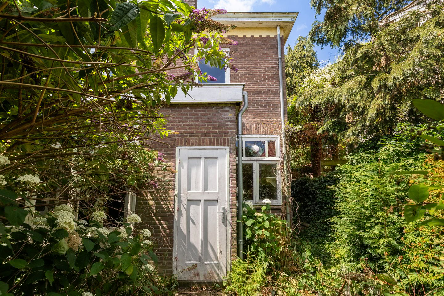 Foto 29 van van Wassenaerlaan 37